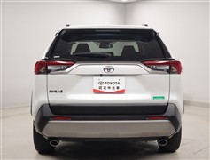 RAV4 G