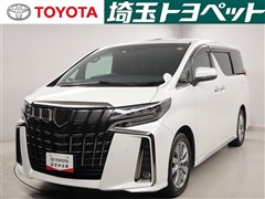アルファード Sタイプゴールド3