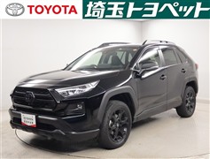RAV4アドベンチャーオフロートP2