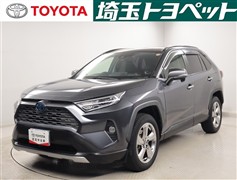 RAV4 HV G