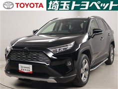 ＲＡＶ４