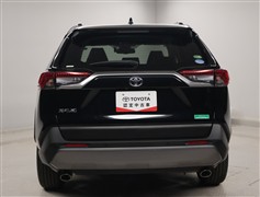 RAV4 G