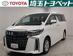 アルファードSサイドリフトアップ