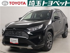 RAV4 G