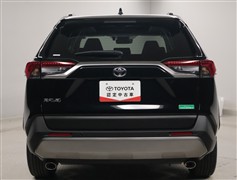 RAV4 G
