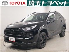 RAV4アドベンチャーオフロートP2