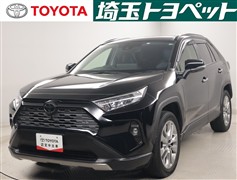 RAV4 G Zパッケージ