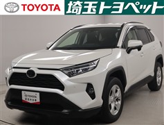 RAV4 X