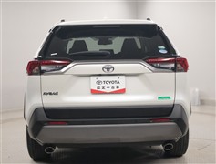 RAV4 G