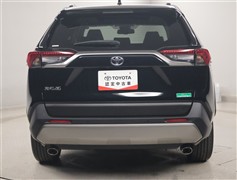 RAV4 G