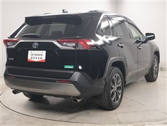 RAV4 G