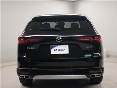 CX-6025S エクスクルーシブM