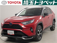 RAV4 PHV ブラックトーン
