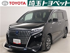 エスクァイアHVGiプレミアムPKG