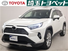 RAV4 G Zパッケージ