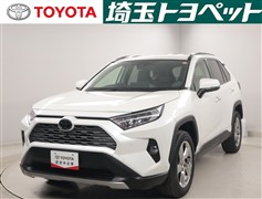 RAV4 G