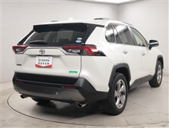 RAV4 G