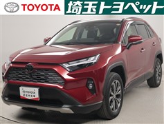 RAV4 HV G