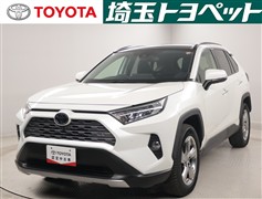 RAV4 G