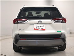 RAV4 G