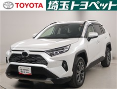 RAV4 G