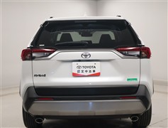 RAV4 G