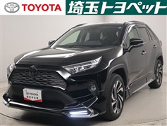 RAV4 G Zパッケージ