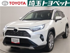 RAV4 G Zパッケージ