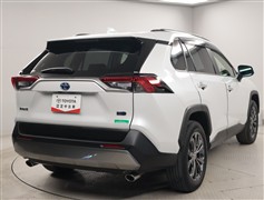 RAV4 HV G