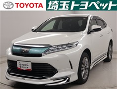 ハリアープログレスメタル&レザーP