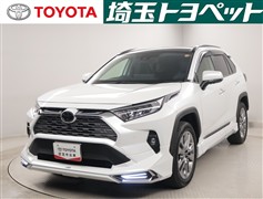 トヨタ RAV4 G Zパッケージ