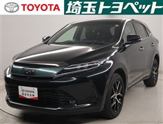 ハリアープログレスSブルーイッシュ