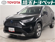 RAV4 HV G