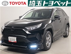 RAV4 X
