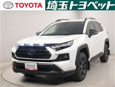 RAV4HVアドベ オフロードP2