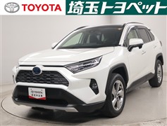 RAV4 HV G