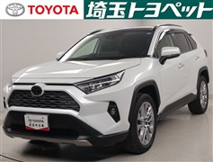 RAV4 G Zパッケージ