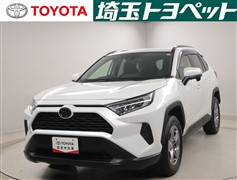 RAV4 X