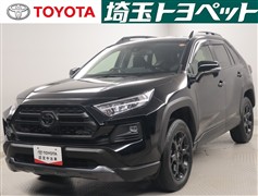 RAV4 アドベンチャーオフロートP