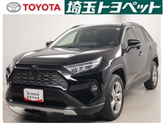 RAV4 G