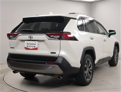 RAV4 G