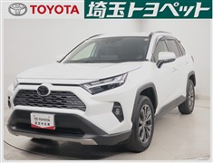 RAV4 HV G