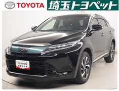 ハリアープログレスメタル&レザーP