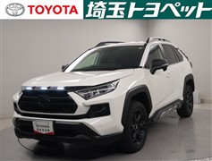 RAV4アドベンチャーオフロードP