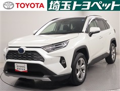 RAV4 HV G