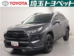 RAV4 アドベンチャーオフロートP