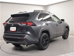 RAV4 アドベンチャーオフロートP