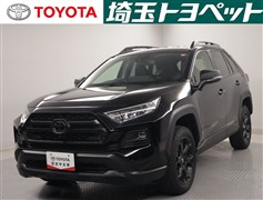 RAV4アドベンチャーオフロードP