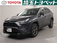 RAV4 X