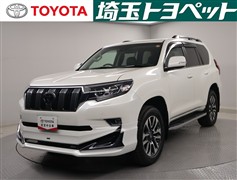 ランドクルーザープラド TZ-G